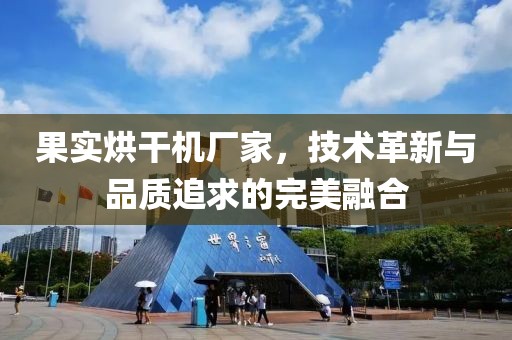 果实烘干机厂家，技术革新与品质追求的完美融合