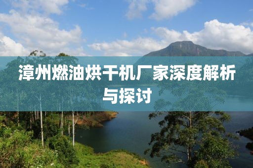 漳州燃油烘干机厂家深度解析与探讨