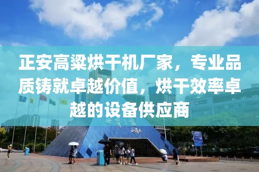 正安高粱烘干机厂家，专业品质铸就卓越价值，烘干效率卓越的设备供应商