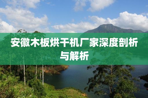 安徽木板烘干机厂家深度剖析与解析