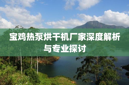 宝鸡热泵烘干机厂家深度解析与专业探讨