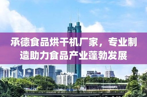 承德食品烘干机厂家，专业制造助力食品产业蓬勃发展