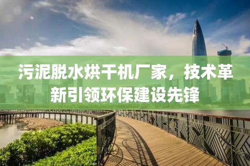 污泥脱水烘干机厂家，技术革新引领环保建设先锋