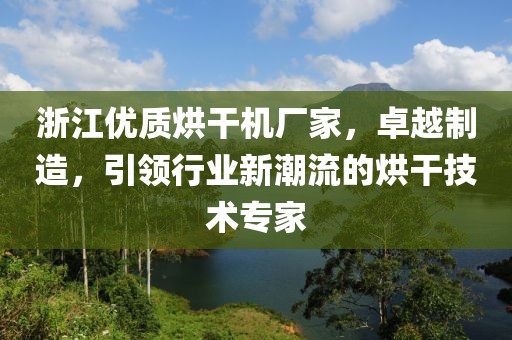 浙江优质烘干机厂家，卓越制造，引领行业新潮流的烘干技术专家