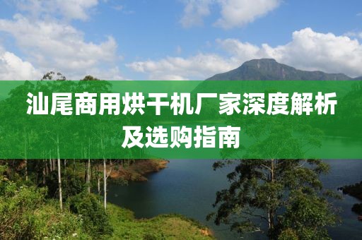 汕尾商用烘干机厂家深度解析及选购指南