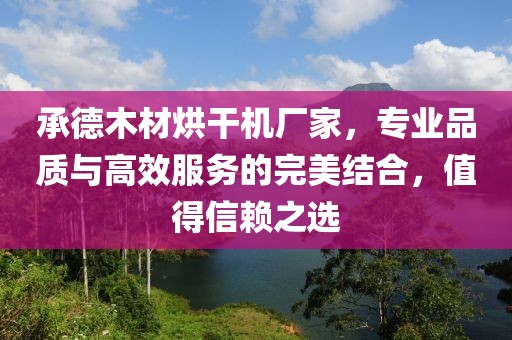 承德木材烘干机厂家，专业品质与高效服务的完美结合，值得信赖之选