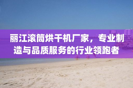 丽江滚筒烘干机厂家，专业制造与品质服务的行业领跑者