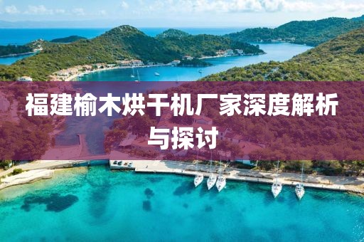 福建榆木烘干机厂家深度解析与探讨