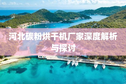 河北碳粉烘干机厂家深度解析与探讨