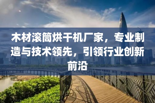 木材滚筒烘干机厂家，专业制造与技术领先，引领行业创新前沿