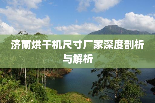 济南烘干机尺寸厂家深度剖析与解析