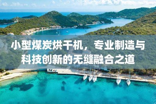 小型煤炭烘干机，专业制造与科技创新的无缝融合之道