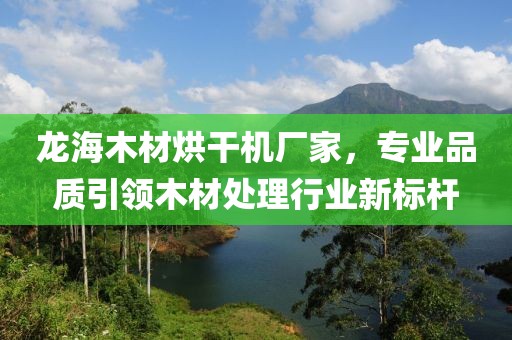 龙海木材烘干机厂家，专业品质引领木材处理行业新标杆