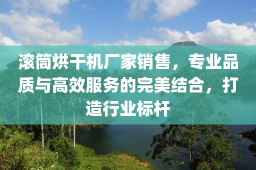 滚筒烘干机厂家销售，专业品质与高效服务的完美结合，打造行业标杆