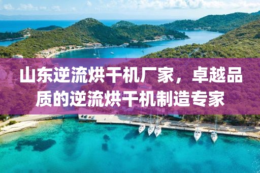 山东逆流烘干机厂家，卓越品质的逆流烘干机制造专家