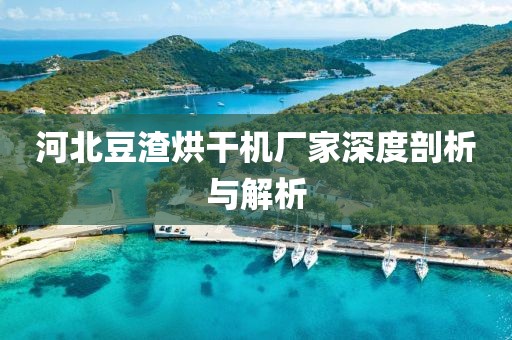 河北豆渣烘干机厂家深度剖析与解析