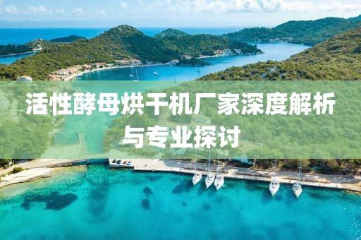 活性酵母烘干机厂家深度解析与专业探讨