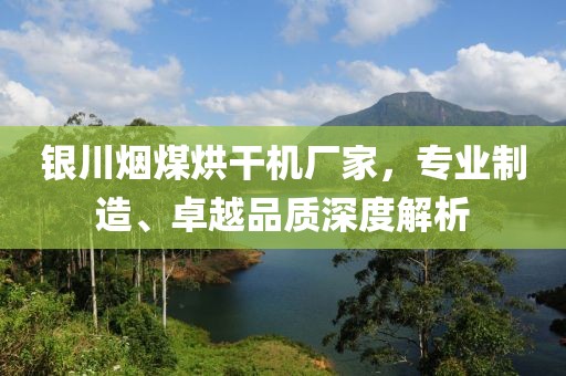 银川烟煤烘干机厂家，专业制造、卓越品质深度解析