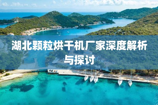 湖北颗粒烘干机厂家深度解析与探讨