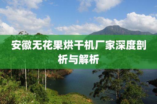 安徽无花果烘干机厂家深度剖析与解析