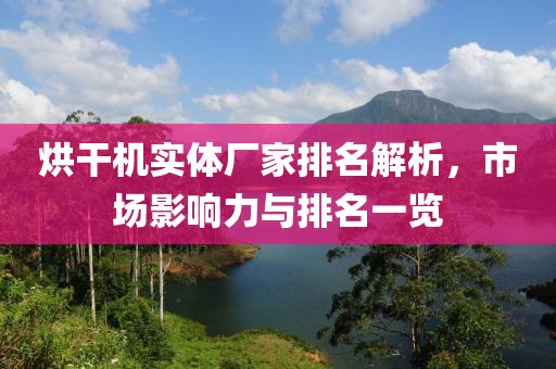 烘干机实体厂家排名解析，市场影响力与排名一览