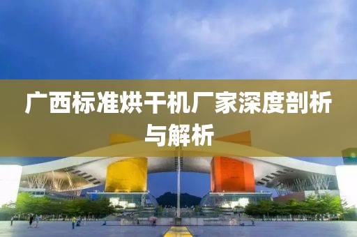 广西标准烘干机厂家深度剖析与解析