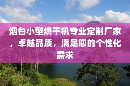 烟台小型烘干机专业定制厂家，卓越品质，满足您的个性化需求