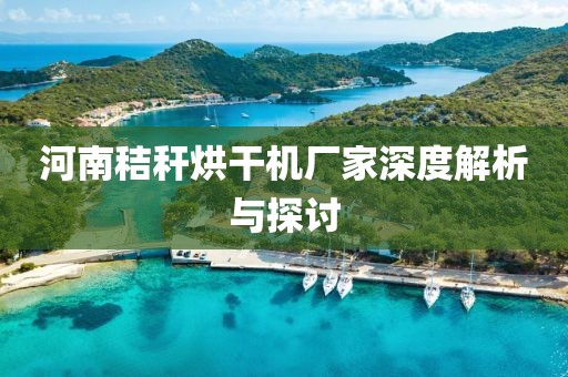 河南秸秆烘干机厂家深度解析与探讨