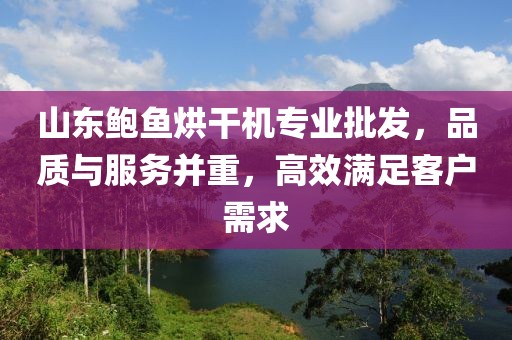 山东鲍鱼烘干机专业批发，品质与服务并重，高效满足客户需求