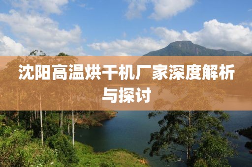 沈阳高温烘干机厂家深度解析与探讨