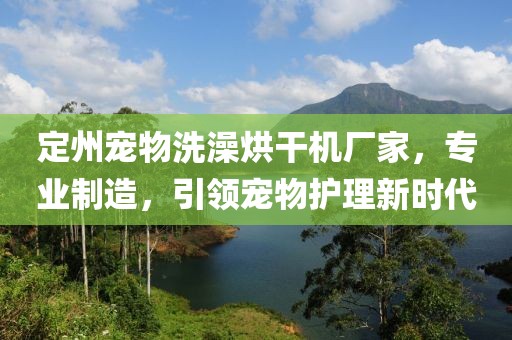 定州宠物洗澡烘干机厂家，专业制造，引领宠物护理新时代