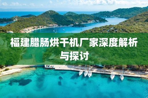 福建腊肠烘干机厂家深度解析与探讨