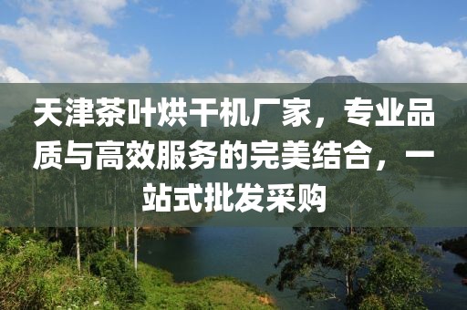 天津茶叶烘干机厂家，专业品质与高效服务的完美结合，一站式批发采购