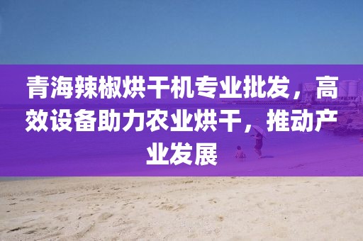 青海辣椒烘干机专业批发，高效设备助力农业烘干，推动产业发展