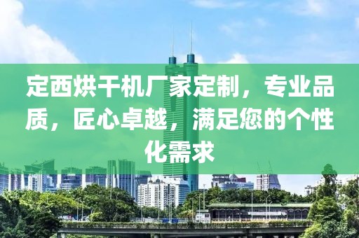 定西烘干机厂家定制，专业品质，匠心卓越，满足您的个性化需求