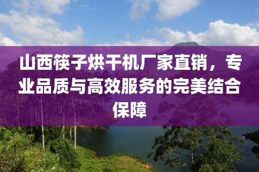 山西筷子烘干机厂家直销，专业品质与高效服务的完美结合保障