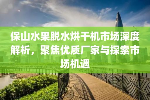 保山水果脱水烘干机市场深度解析，聚焦优质厂家与探索市场机遇