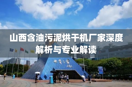 山西含油污泥烘干机厂家深度解析与专业解读