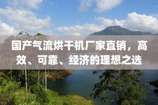 国产气流烘干机厂家直销，高效、可靠、经济的理想之选