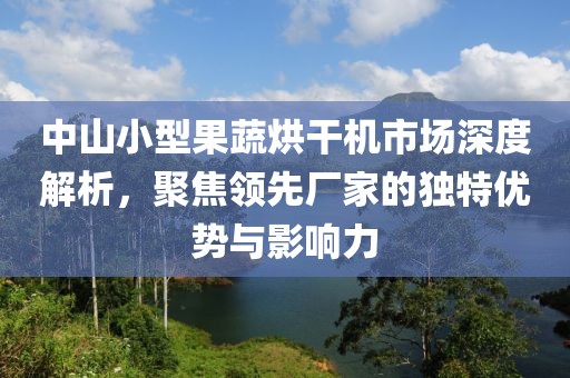 中山小型果蔬烘干机市场深度解析，聚焦领先厂家的独特优势与影响力