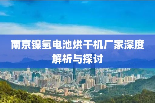 南京镍氢电池烘干机厂家深度解析与探讨