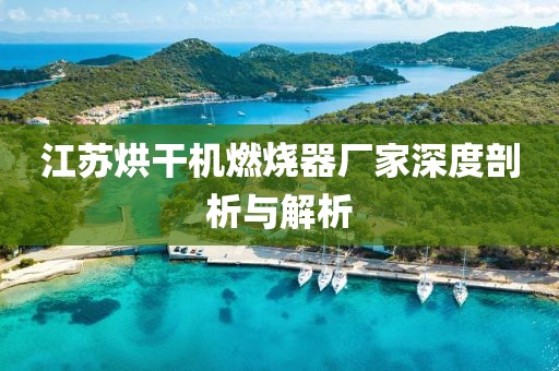 江苏烘干机燃烧器厂家深度剖析与解析