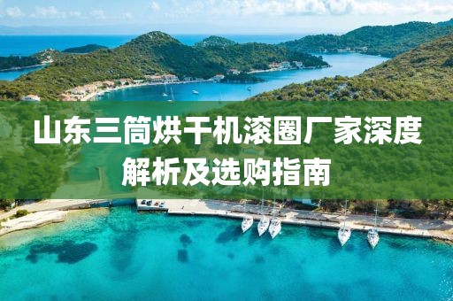 山东三筒烘干机滚圈厂家深度解析及选购指南