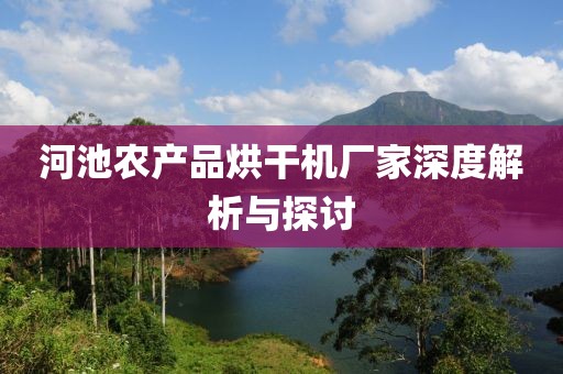 河池农产品烘干机厂家深度解析与探讨