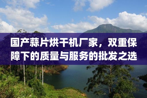 国产蒜片烘干机厂家，双重保障下的质量与服务的批发之选