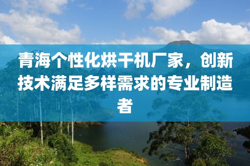 青海个性化烘干机厂家，创新技术满足多样需求的专业制造者