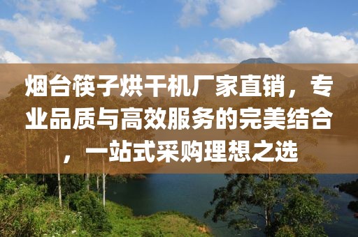 烟台筷子烘干机厂家直销，专业品质与高效服务的完美结合，一站式采购理想之选