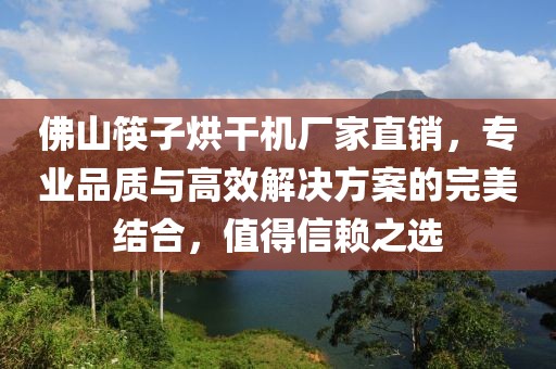 佛山筷子烘干机厂家直销，专业品质与高效解决方案的完美结合，值得信赖之选