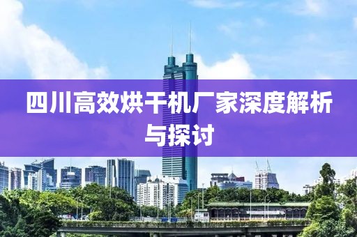 四川高效烘干机厂家深度解析与探讨