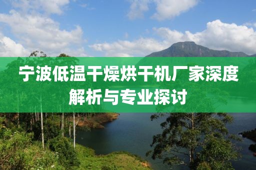 宁波低温干燥烘干机厂家深度解析与专业探讨